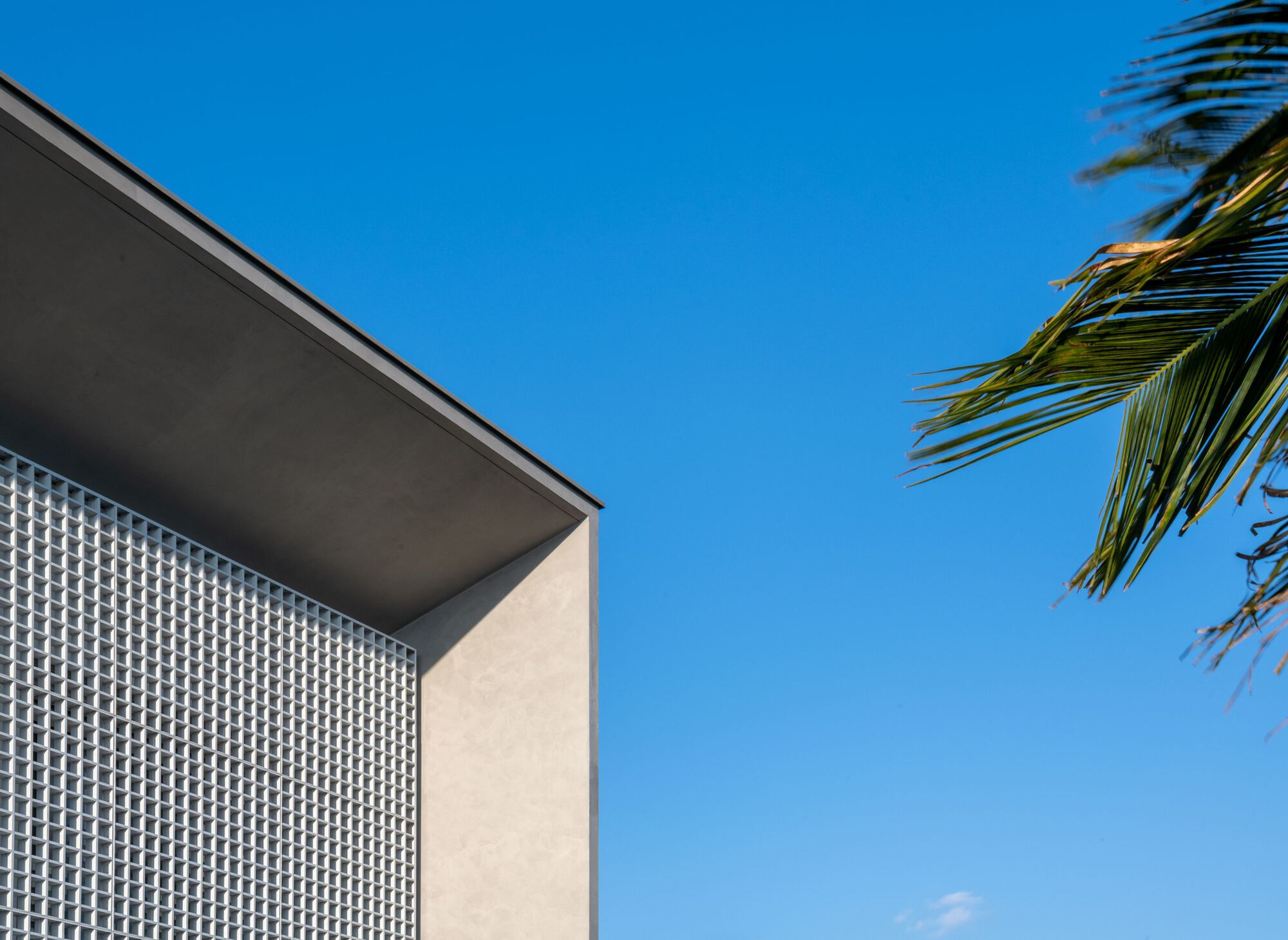 穆·阿拉比之家丨巴西丨Cris Furlan Arquitetura-30