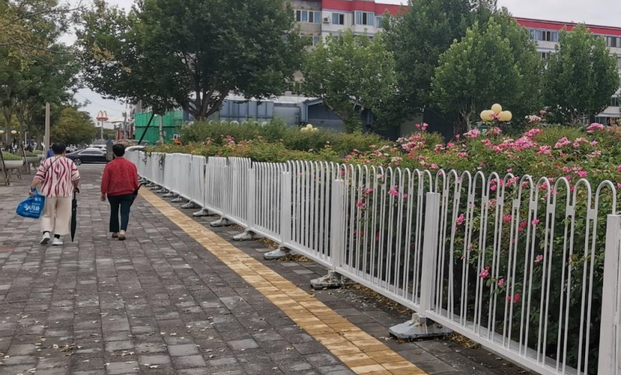 房山府前广场“拆栏透绿”改造丨中国北京丨房山区园林绿化局-17