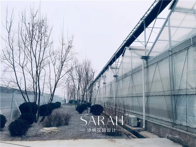 高技术与高颜值的京东"未来“植物工厂-17