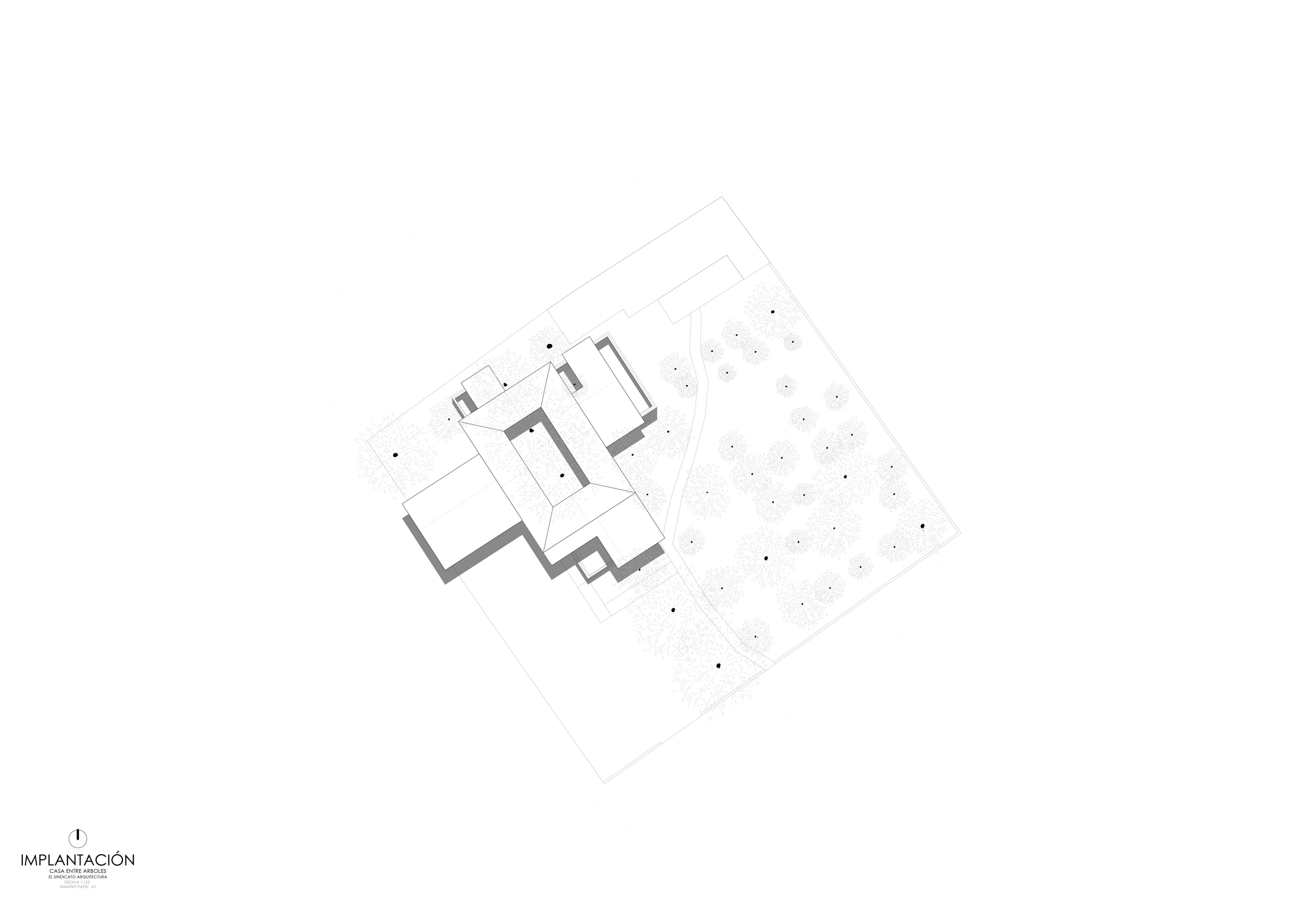 House Among Trees / El Sindicato Arquitectura-52