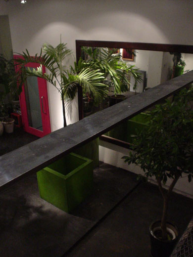 外苑前FLOWER SHOP观叶植物卖场设计丨日本东京丨ao2-23