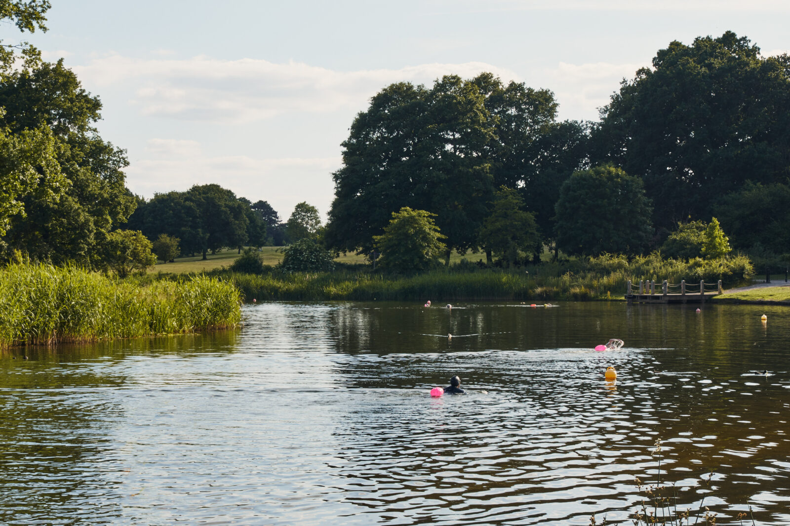 Take a Dip: London’s best swimming spots - from lakes to lidos | Journal | The Modern House-12