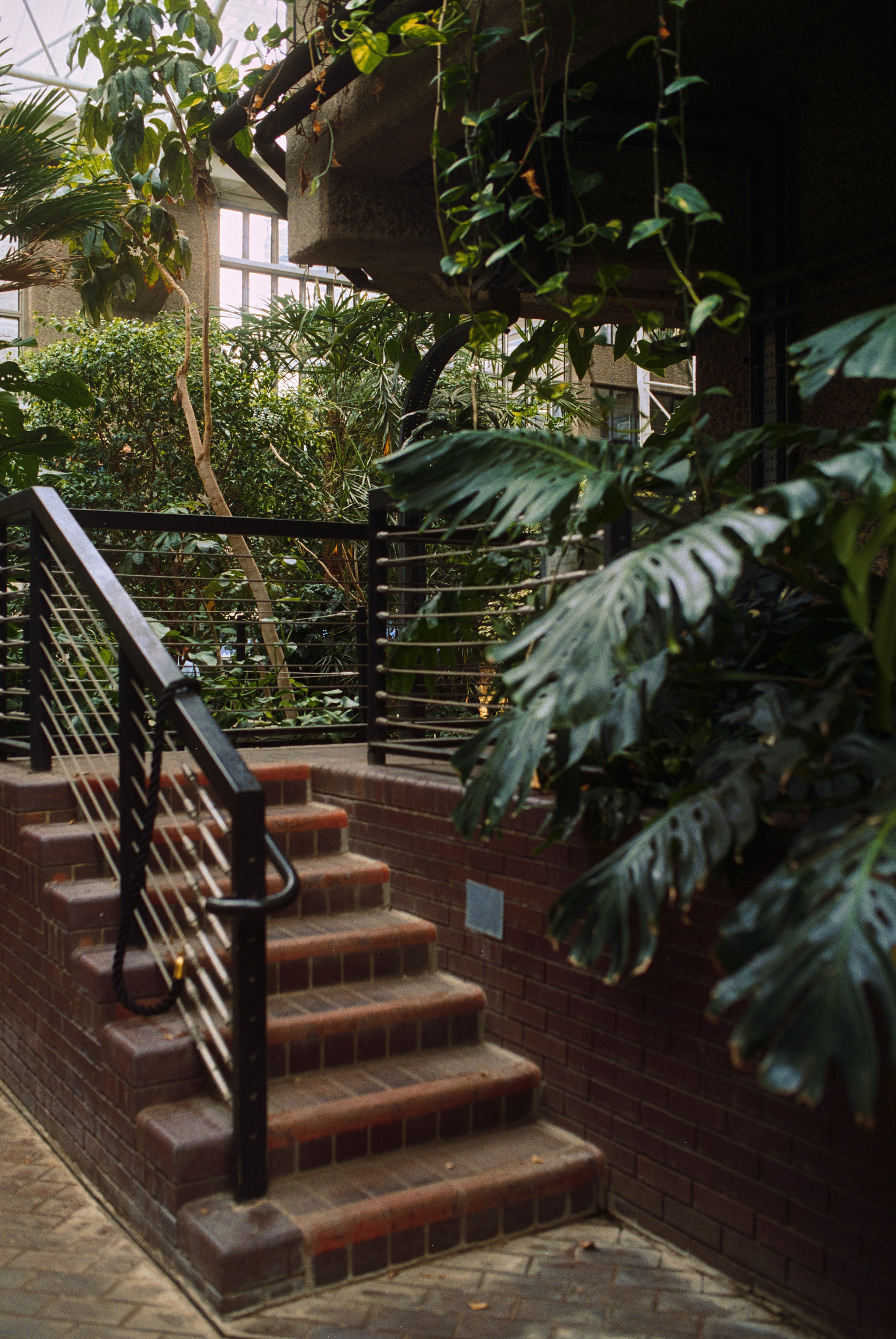 巴比肯温室丨英国伦敦-7