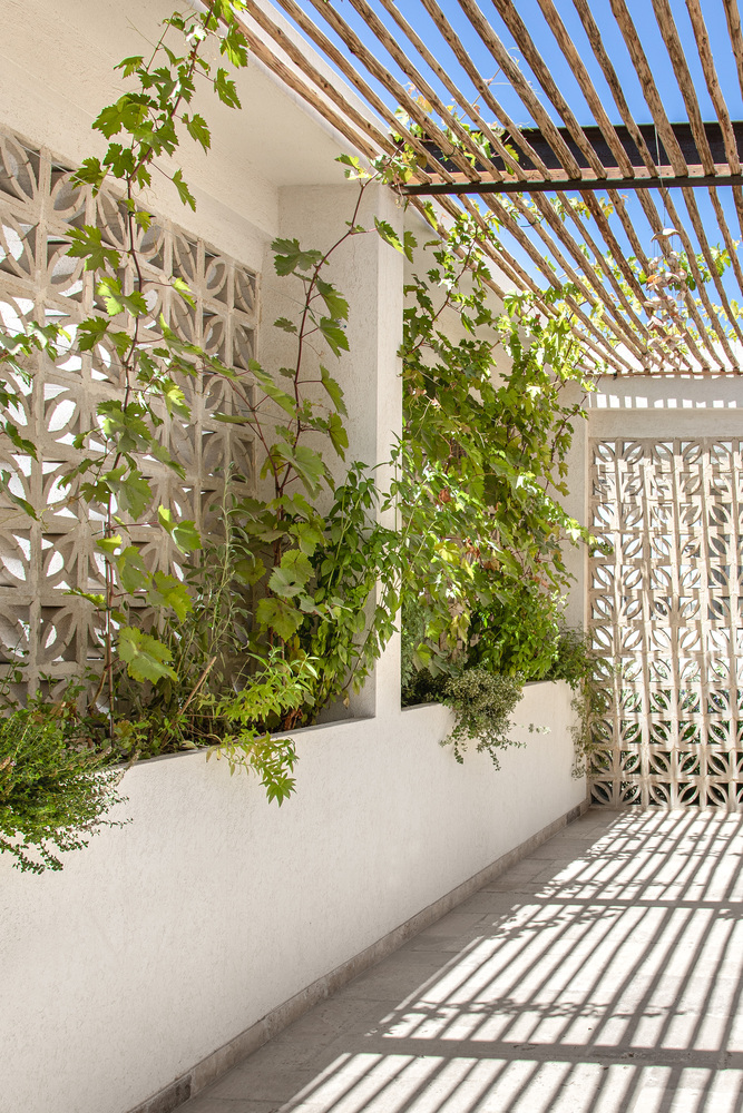 以色列 Goldwasser 别墅丨Architextit Einat ErezKobiler-28