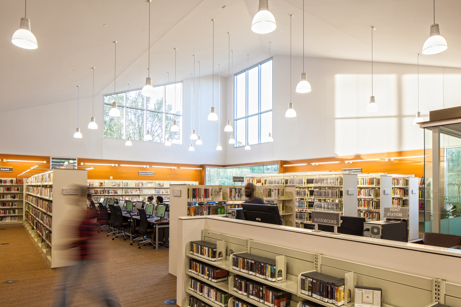 Palmetto图书馆-47