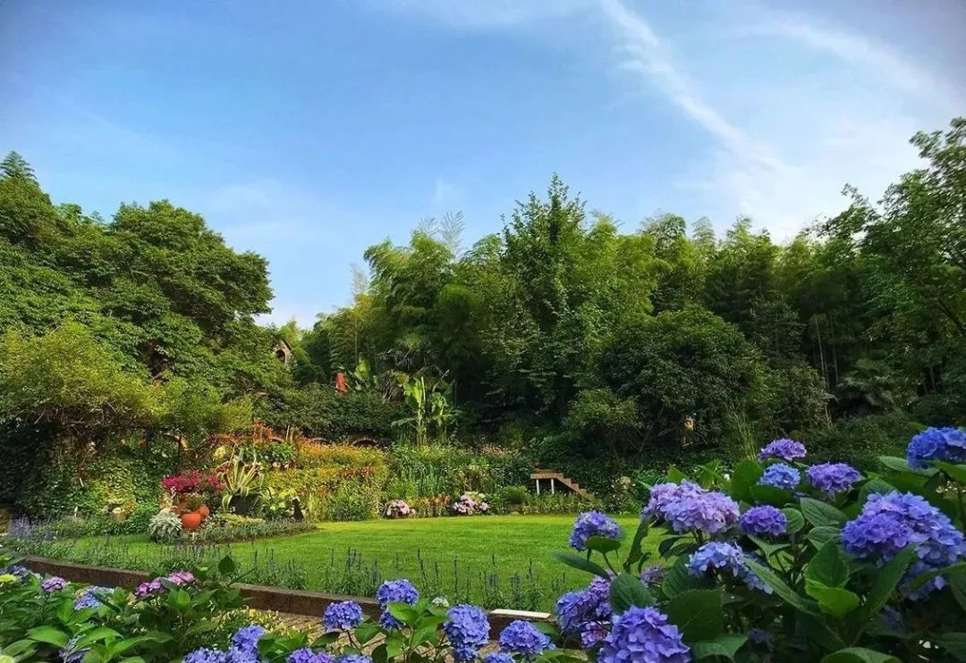 三棵树庄园 | 摄影家的心灵秘境-68