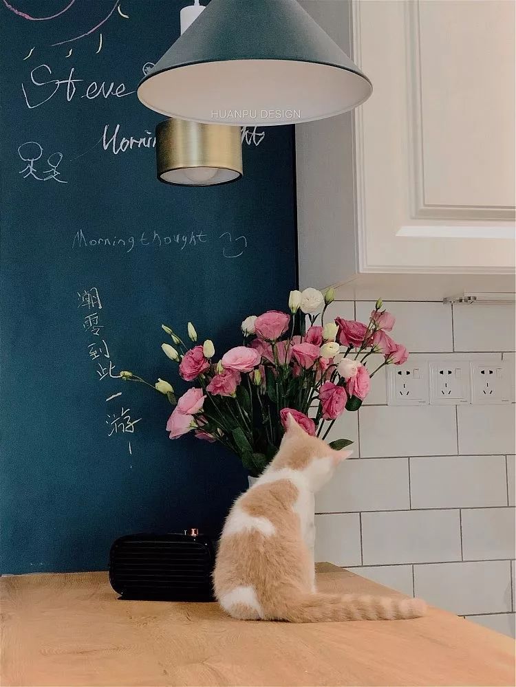 33㎡北欧猫宅,小空间大温馨-119