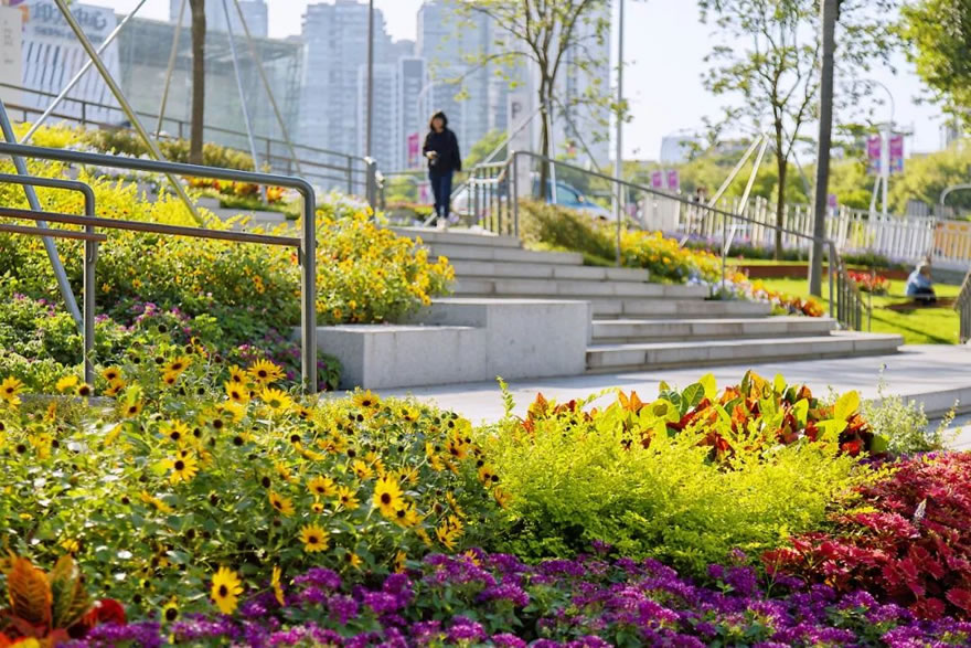 深圳福田侨香路景观提升丨中国深圳丨深圳文科园林股份有限公司-78