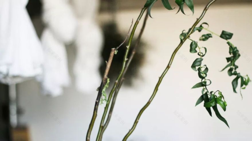 不羁花艺空间 | 混凝土与花的艺术结合-25