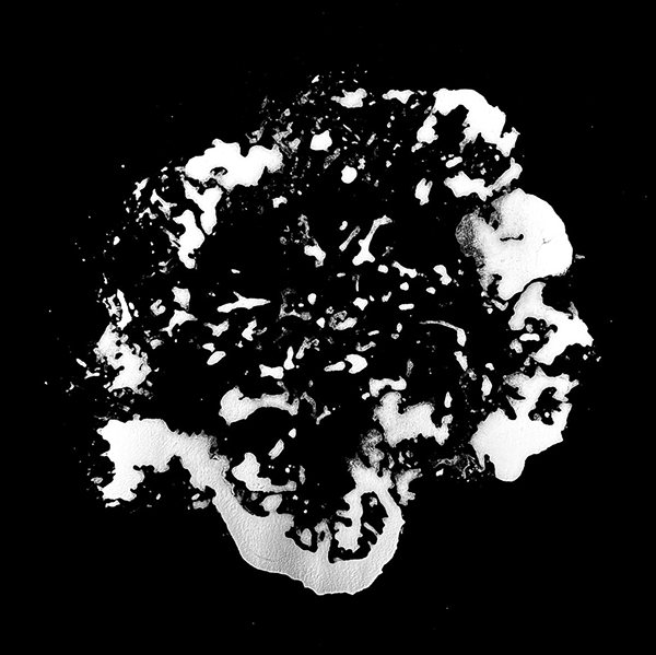 马特恩和帕滕,丝瓜络-20