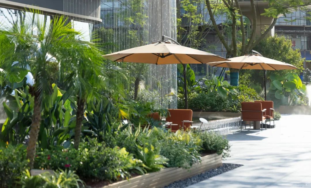 夏日雨林 | 成都德桦·御湖和境-44