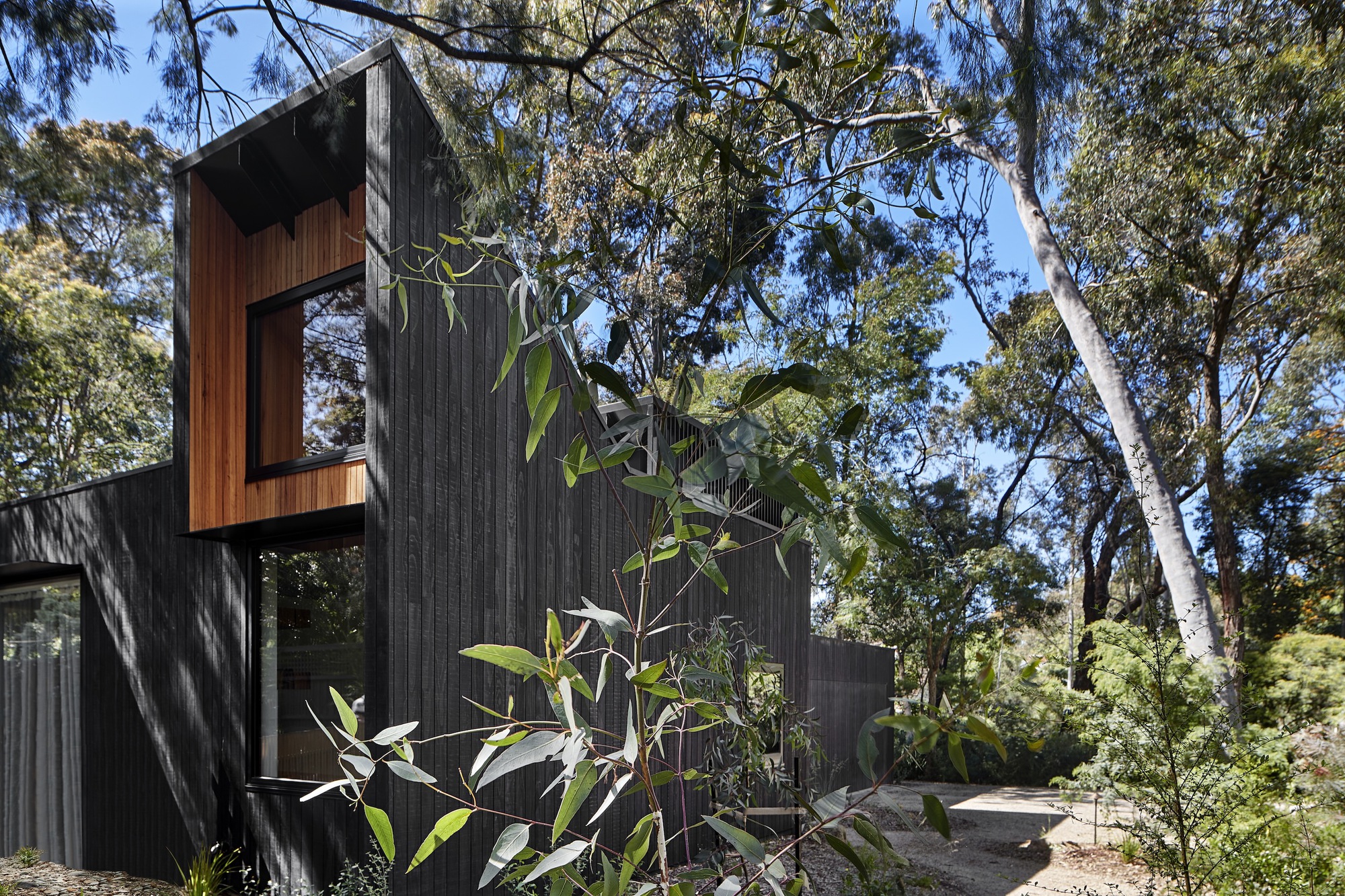 铃鸟屋丨澳大利亚丨Bower Architecture-38