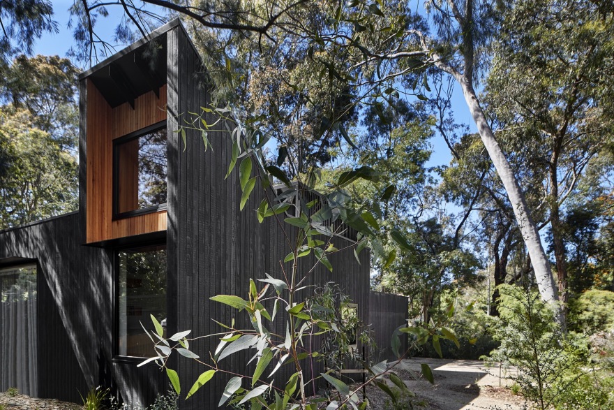 铃鸟屋丨澳大利亚丨Bower Architecture-38