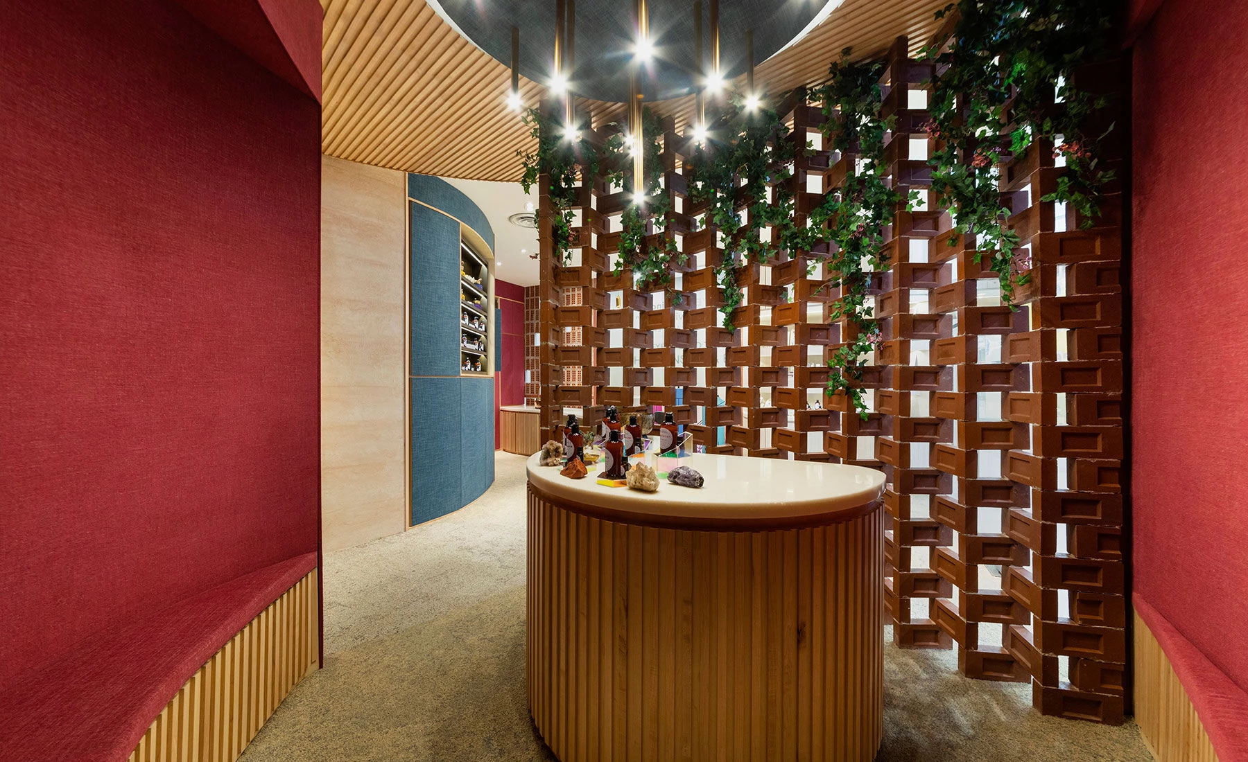 Rebirth Under the Stars-10