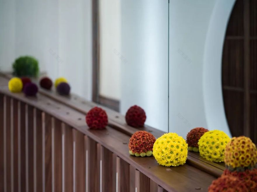 半木之家“伴夏集” | 唐七小姐的花植艺术装置-67