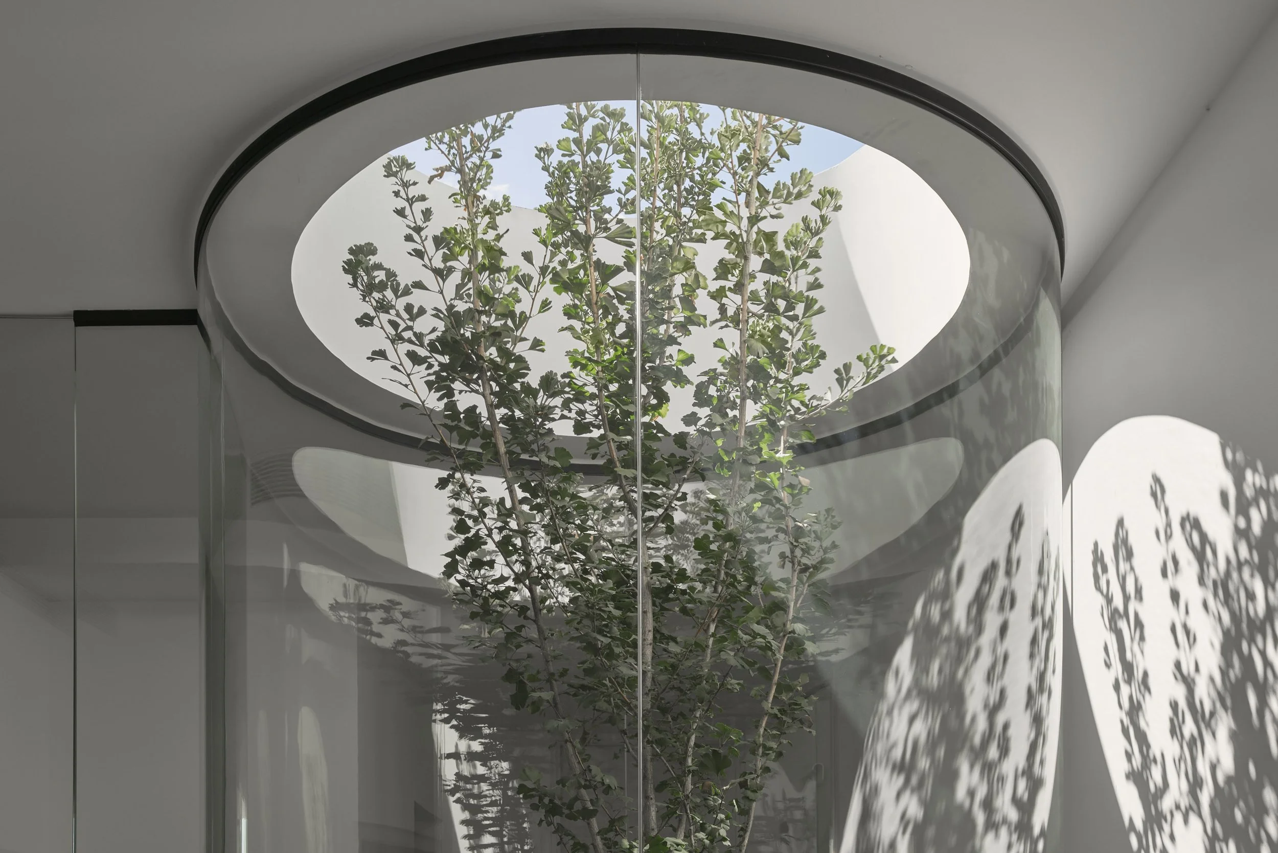 布莱顿公寓丨Merrylees Architecture-8