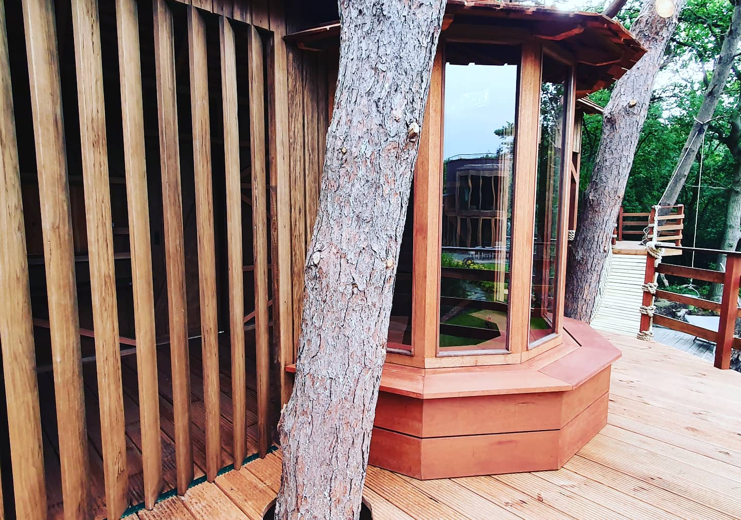 树屋·尊享系列（注：这里假设E·clusive可能是品牌方自创的类似Exclusive（尊享、独家）的词，以突出独特性，具体需结合实际语境） -13