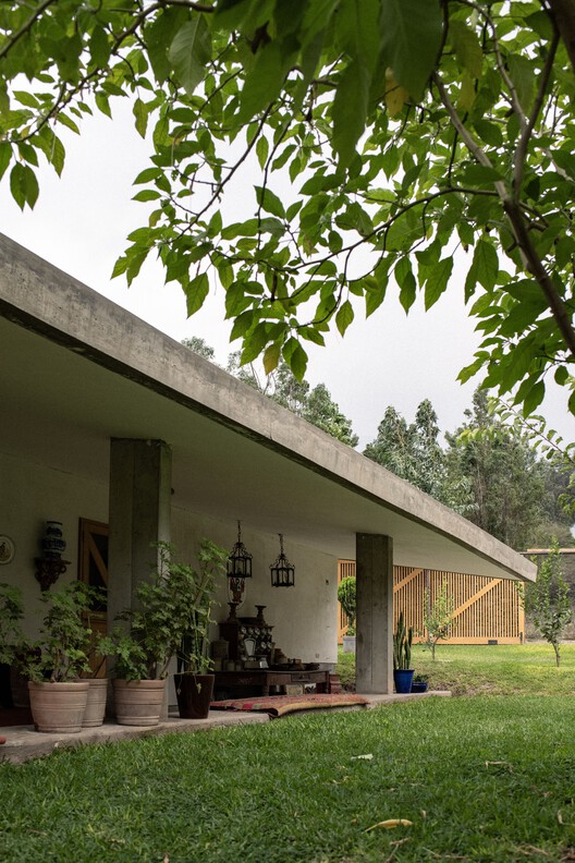 丨秘鲁丨Ghezzi Novak-46