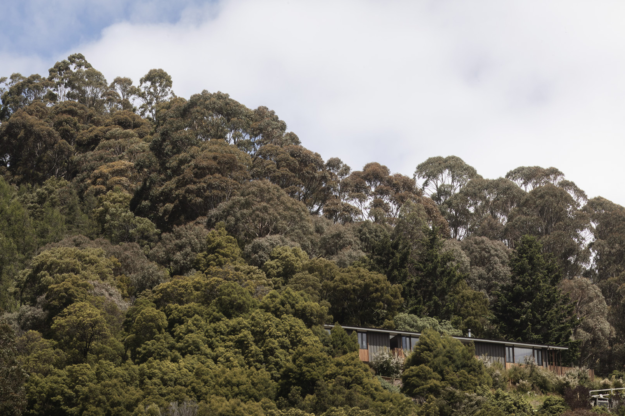 羽毛屋丨新西兰纳尔逊丨Irving Smith Architects-31