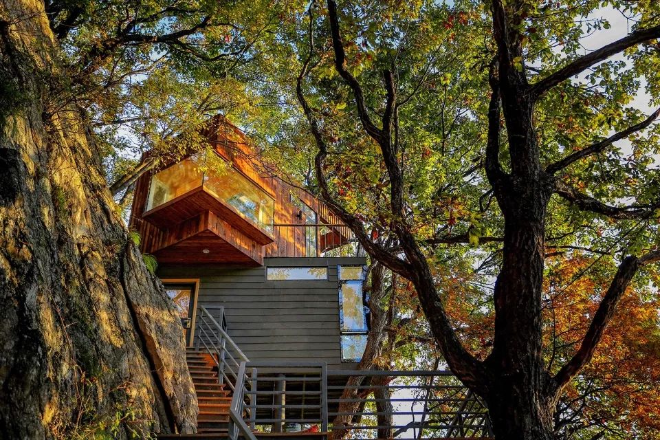 老君山树屋 | 悬崖之上的精致空间-0