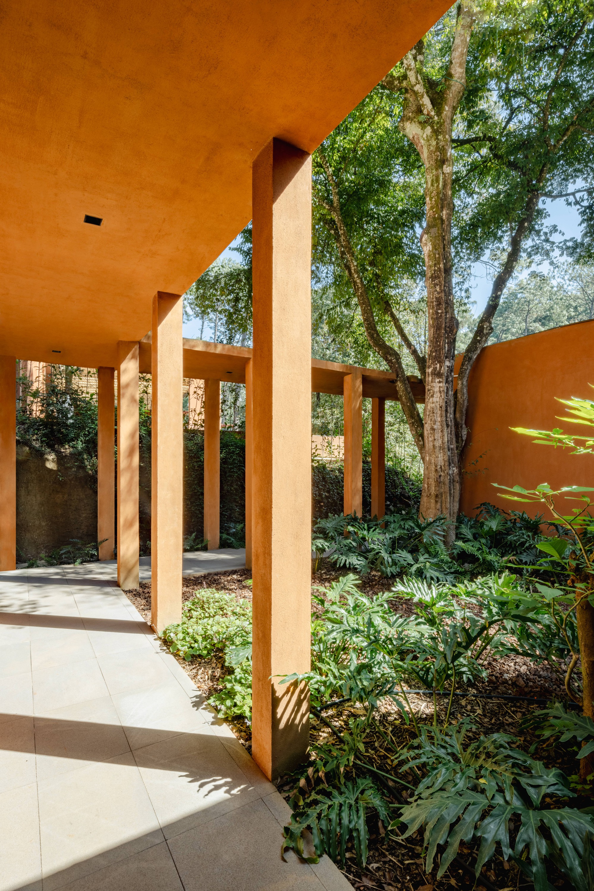 弗隆达尔宅邸丨墨西哥丨Taller MRD-22