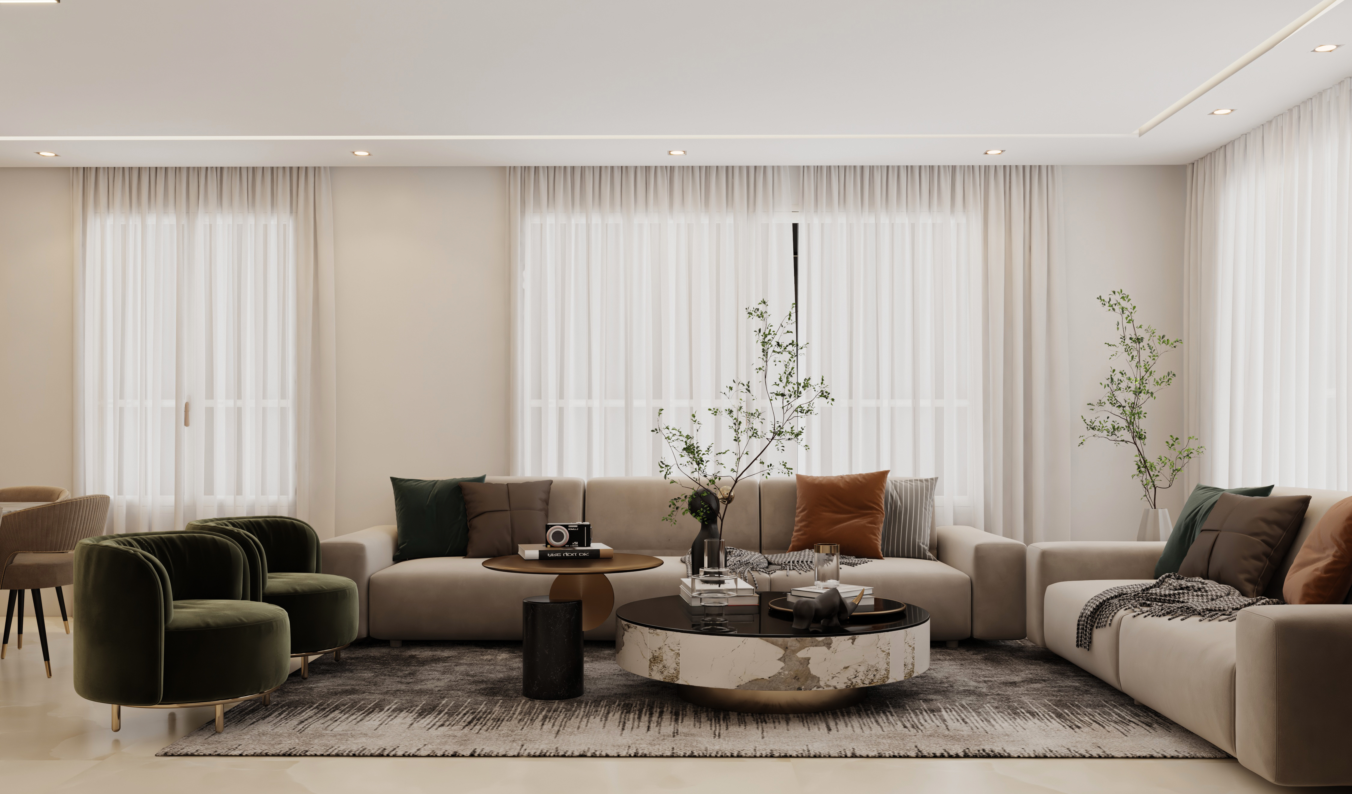 Modern Living Area & Kitchen-4