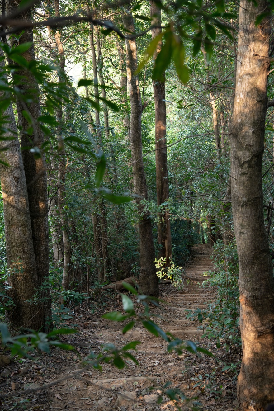 深圳市罗湖区东湖公园郊野径 – 莲塘口岸线丨中国深圳丨深圳市未名设计顾问有限公司 (WMLA)-26