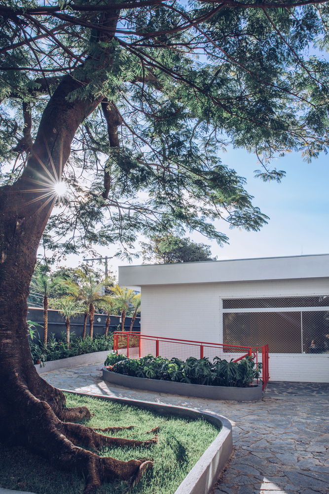 巴西蒙特梭利幼儿园 · 自由发展的空间-35