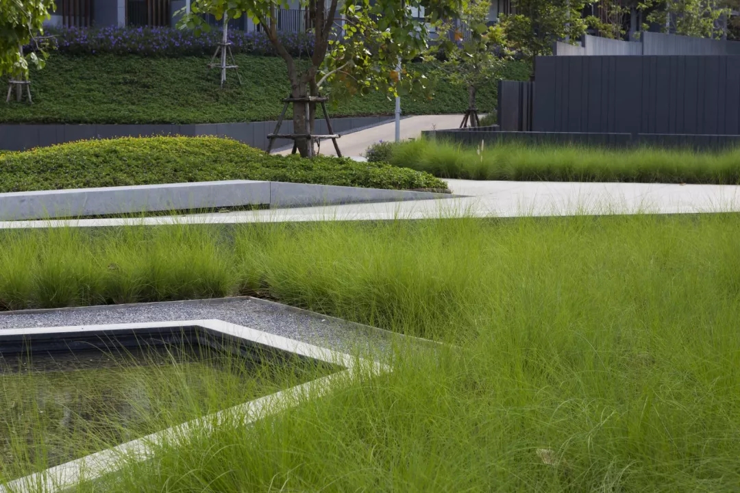 考艾23°庄园景观设计-12