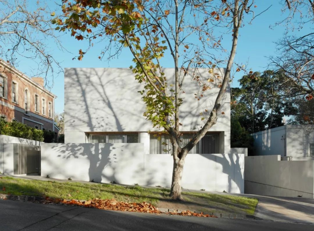 Davidov Architects | 住宅与公共概念的融合-30