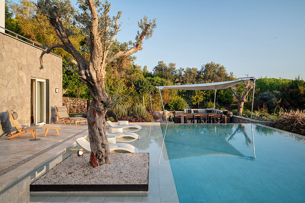 博德鲁姆 Z 屋丨土耳其穆拉丨Habif Mimarlık-32