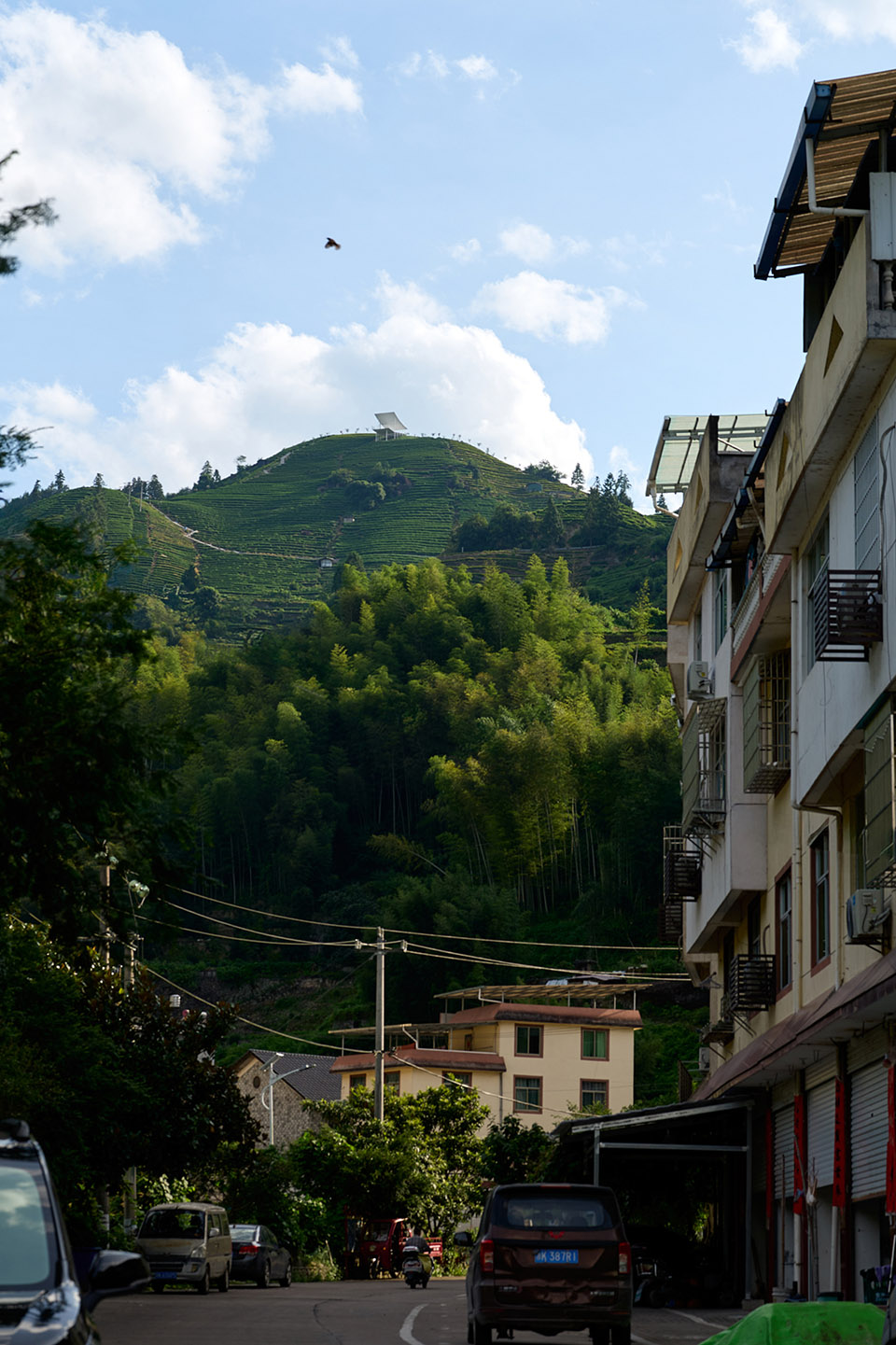 浮亭丨中国浙江丨衍述设计 Studio RE+N-16