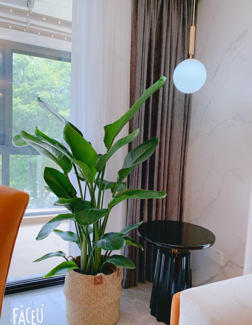 新玫瑰苑轻奢美式风 | 打造高颜值实用家居空间-4