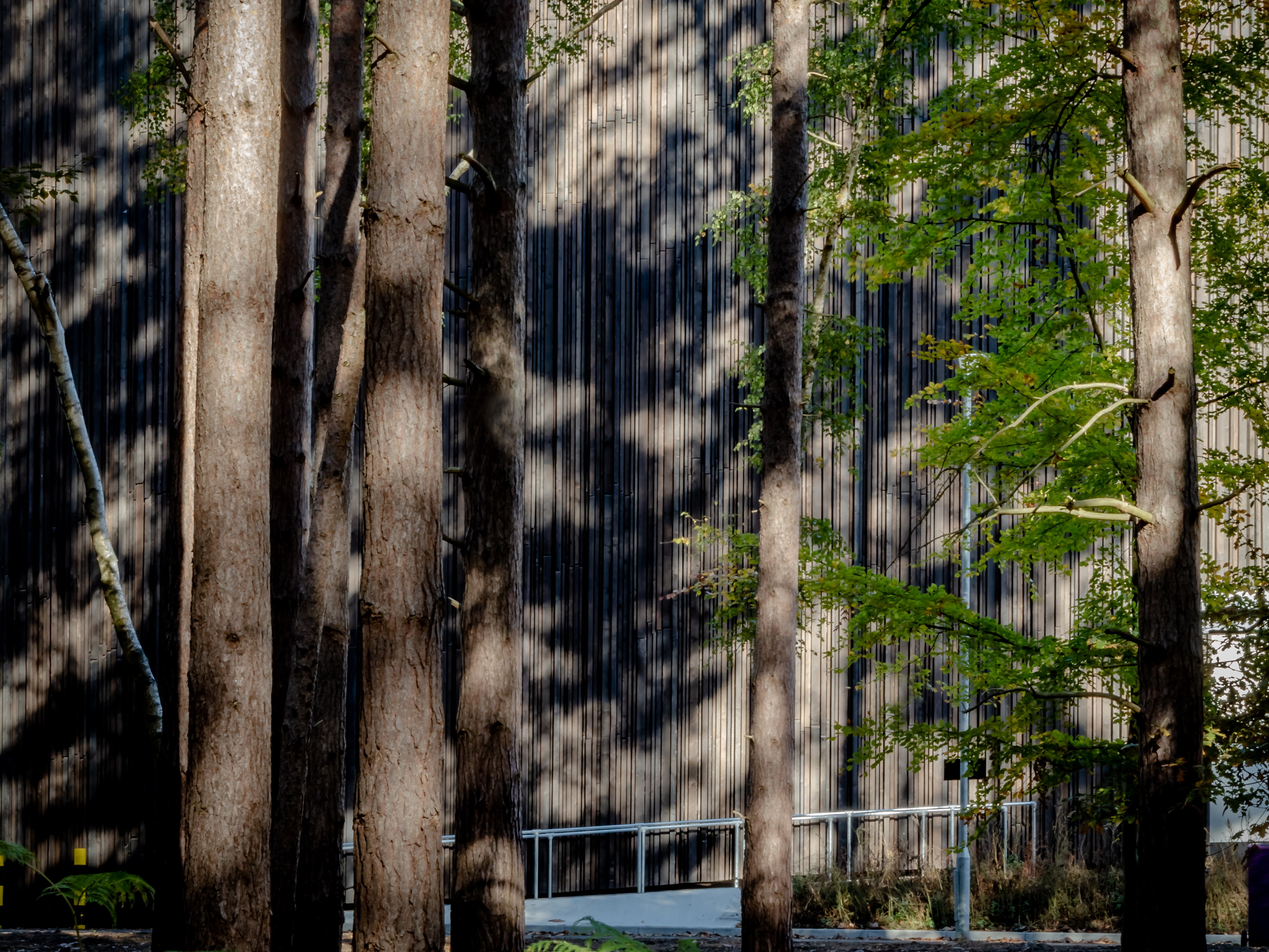 森林中的圆形艺术馆-34