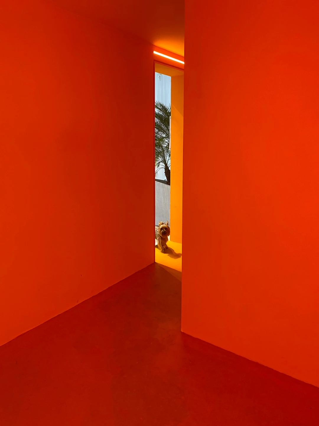 闲聊洗手间丨Ecuador丨Side Fx Arquitectura-24