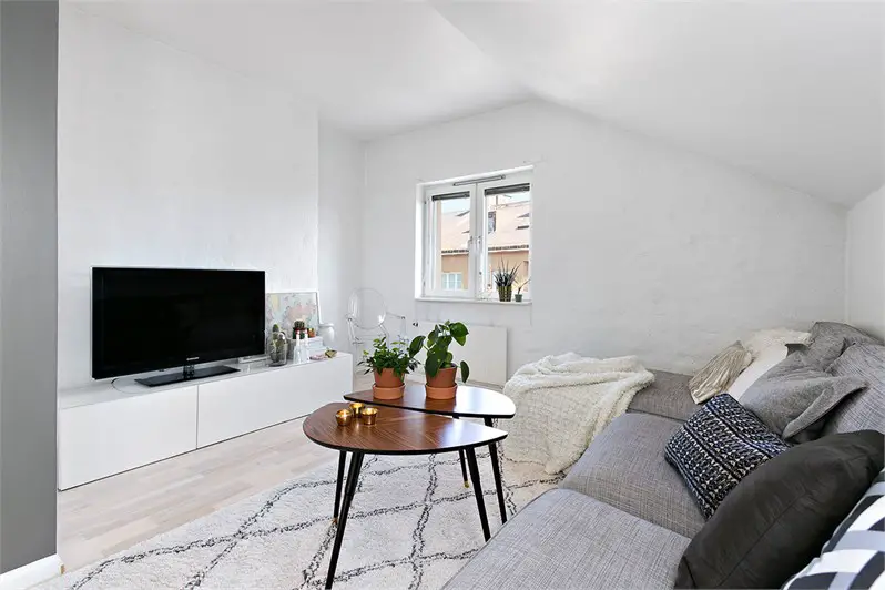 绿色植物的室内艺术展示-8