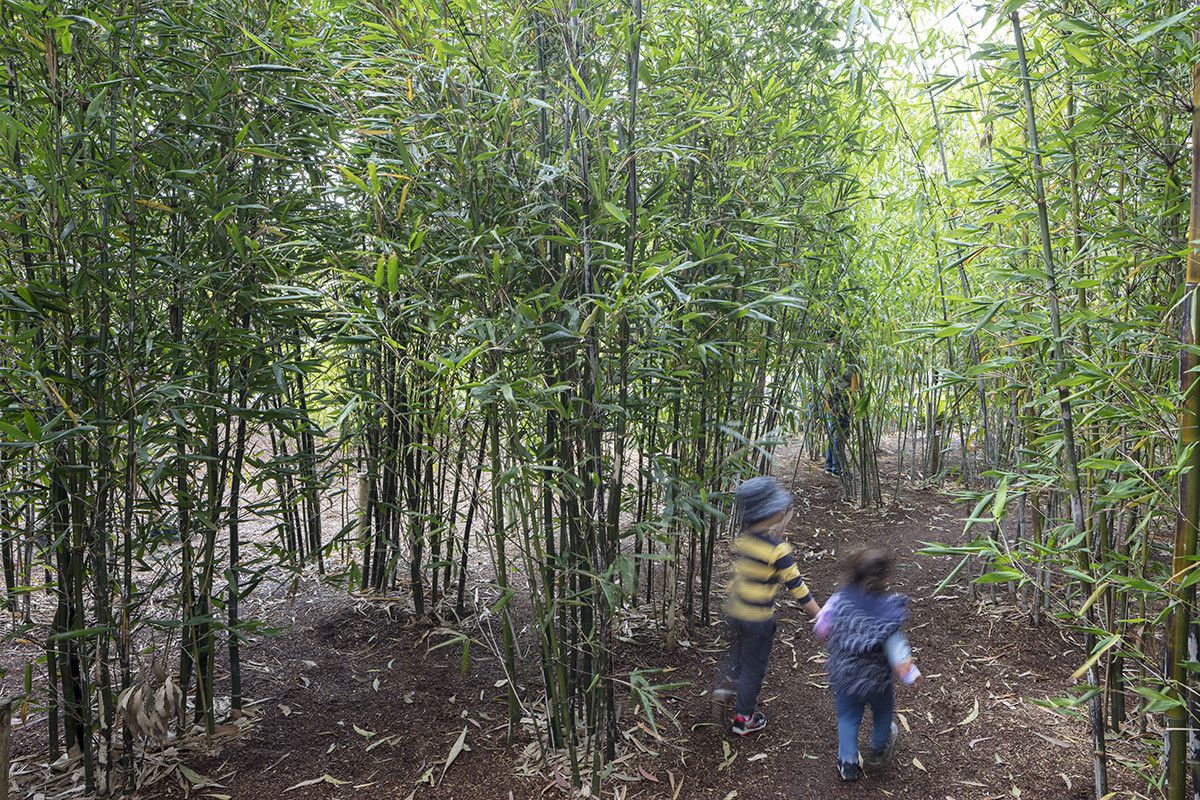 悉尼伊恩波特儿童野趣游乐园丨澳大利亚悉尼丨澳派景观设计工作室-28