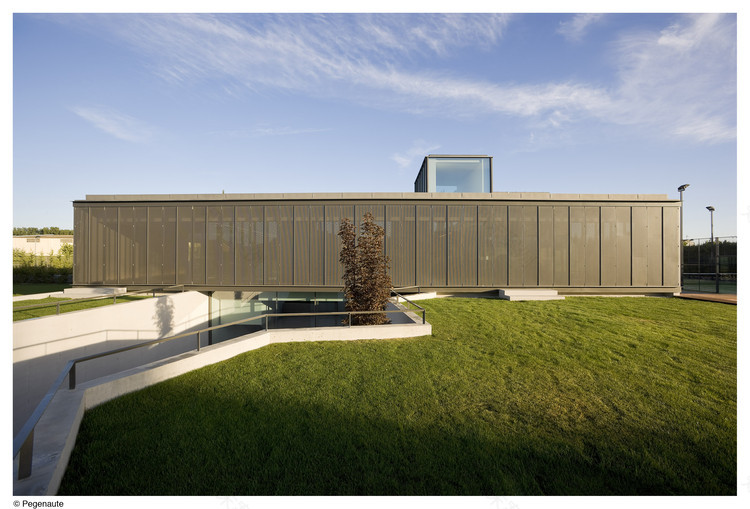 Domínguez House 过滤式花园设计-21