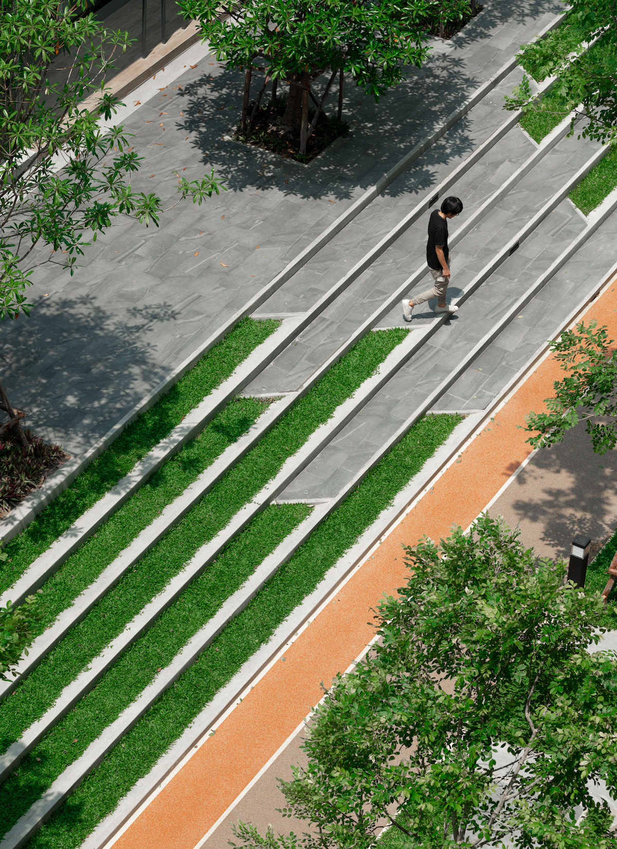 活力大区(Plum Alive)-16