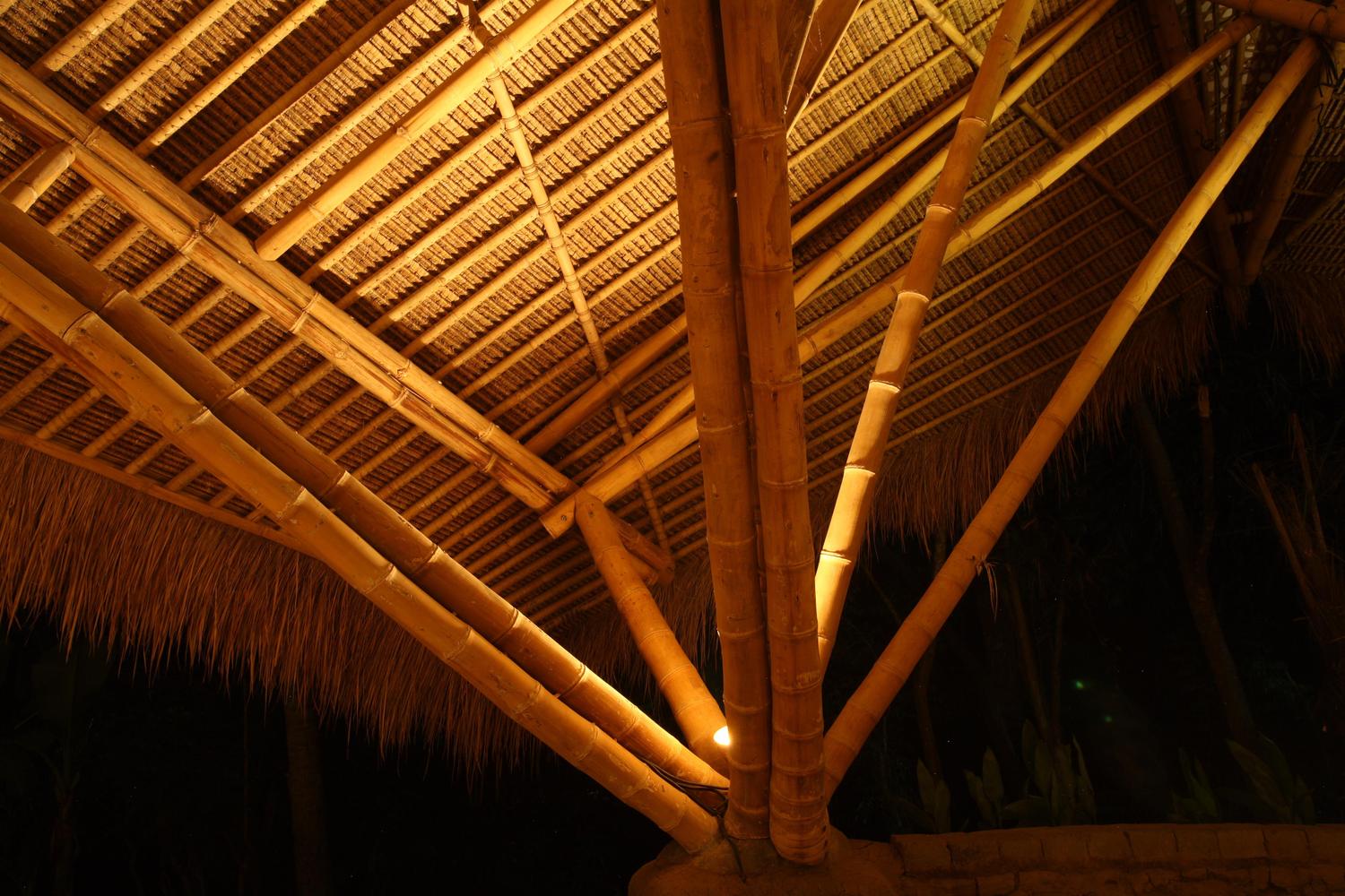 绿色学校桑基普活动空间-23