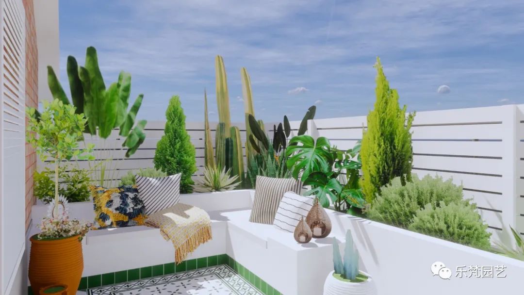 媚媚猫咪的摩洛哥阳台花园丨乐梵园艺-16