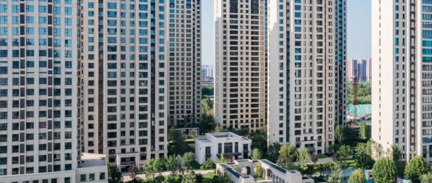 麻省理工科技评论:世界最大烂尾机场的再野化之路-162