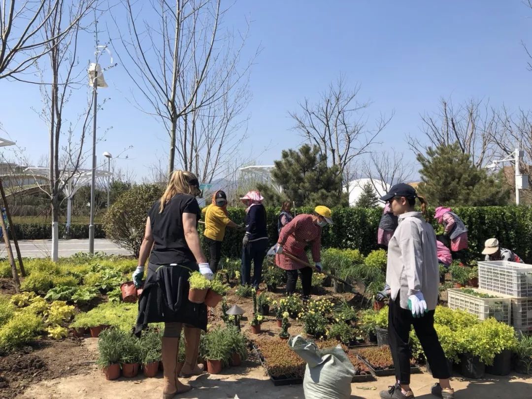 世园会澳大利亚园丨中国北京-53