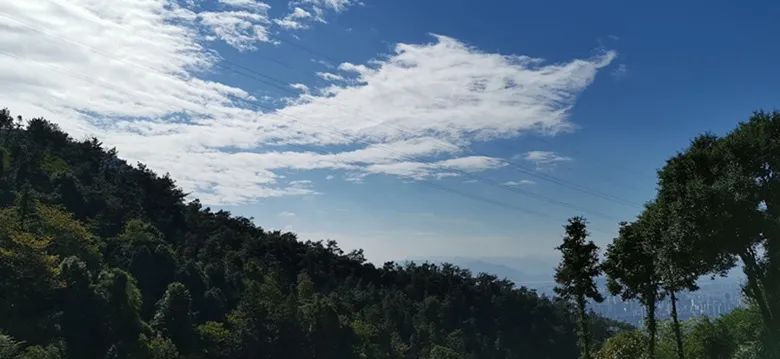 自然人文共生,柱里空间新解-0