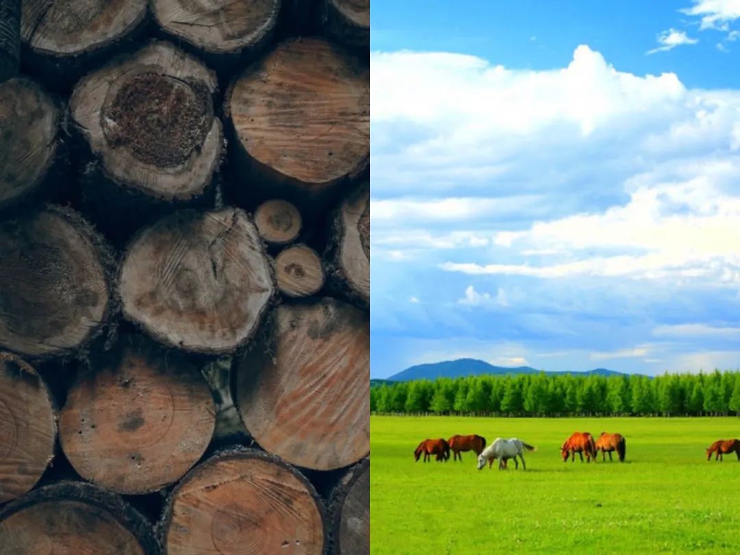 峰上名宅·极简藏时光-3