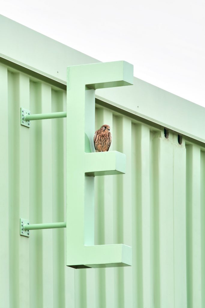 西班牙布鲁内特犬类培训学校丨西班牙马德里-6