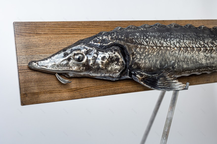 Стерлядь настенная из нержавеющей стали-6