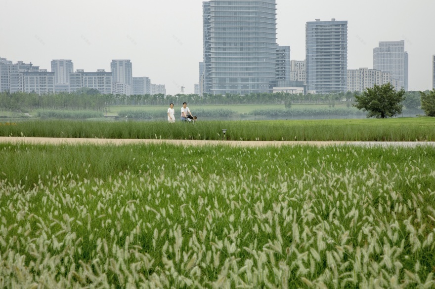 凤翔洲水文化公园丨中国衢州丨张唐景观-66