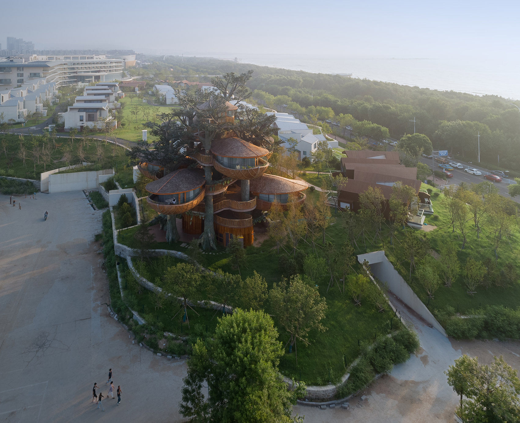 林间之巢丨中国日照丨动奇屋-5