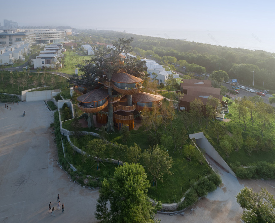 林间之巢丨中国日照丨动奇屋-5